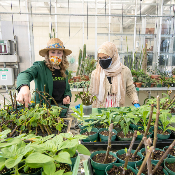 Picture of greenhouse and sustainability program